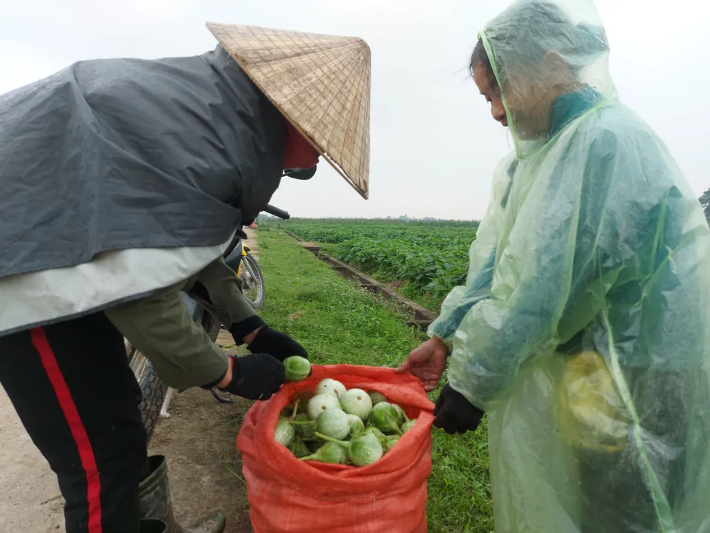 Cà Thượng Lộc đã tạo dựng được thương hiệu nổi tiếng