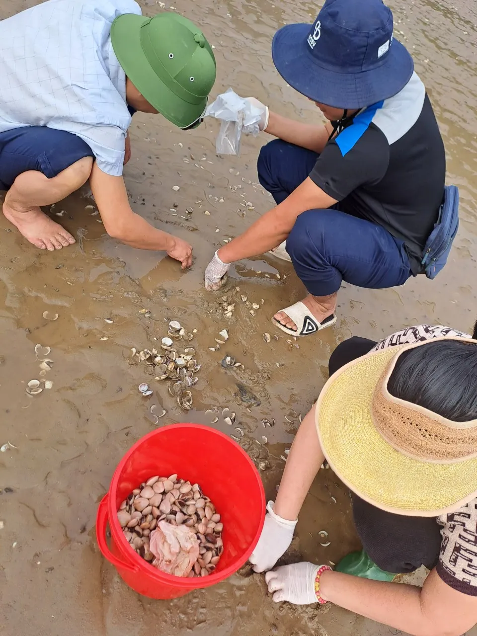 Cơ quan chức năng lấy mẫu nghêu tại hiện trường