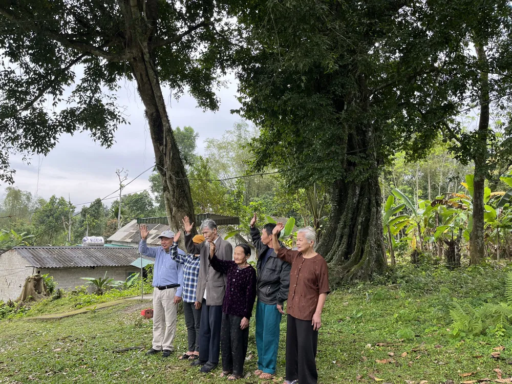 Người dân địa phương bên dưới gốc cây thị cổ thụ