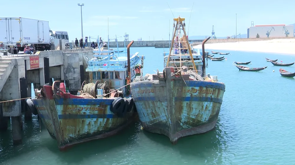 2 tàu QNg 97361 TS và QNg 97162 TS