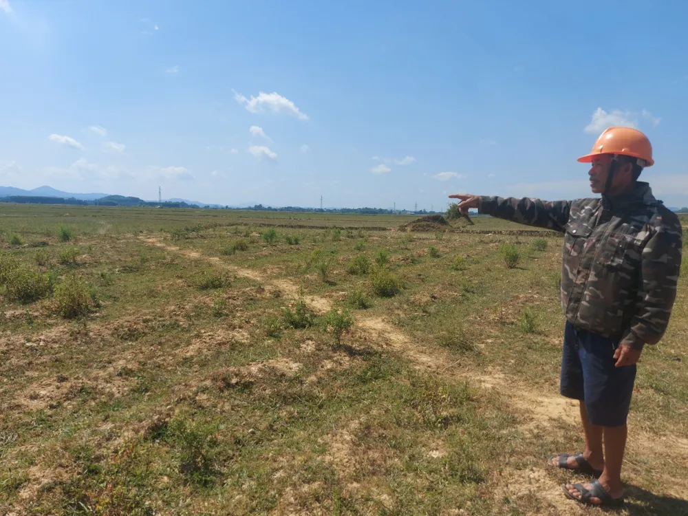 Ông Trần Văn Dũng bên cánh đồng bỏ hoang Ông Trần Văn Dũng bên cánh đồng bỏ hoang