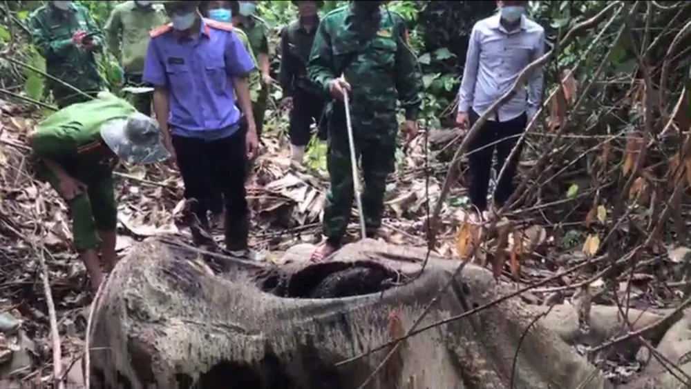 Lực lượng chức năng kiểm tra xác voi tại hiện trường