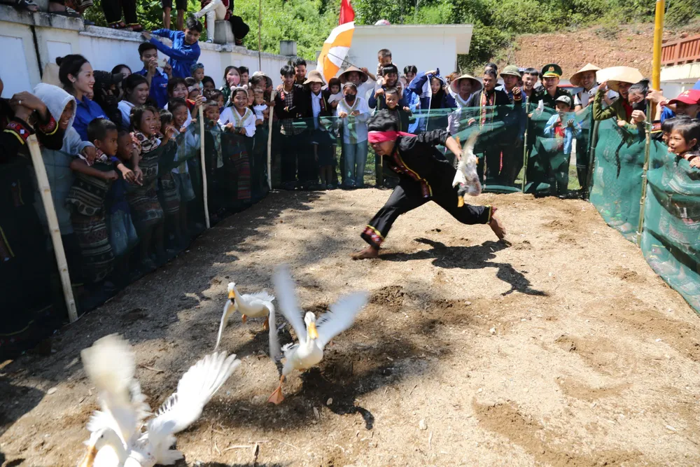 Bịt mắt bắt vịt… Bịt mắt bắt vịt…