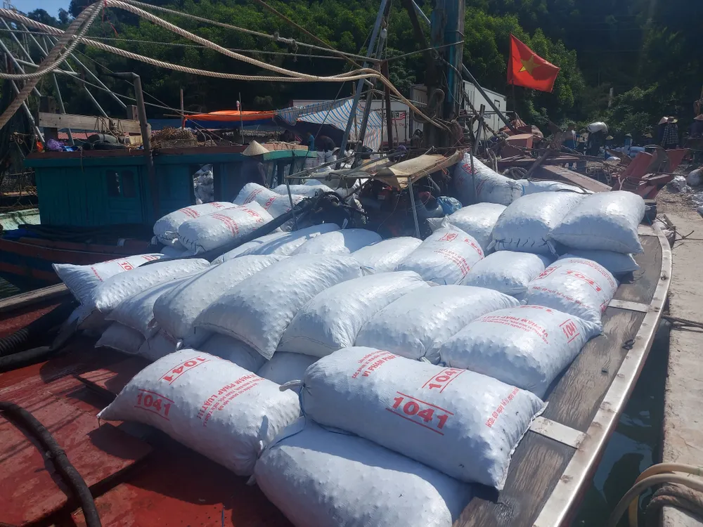 Các bao tải chứa sò lông chất đầy trên tàu Các bao tải chứa sò lông chất đầy trên tàu