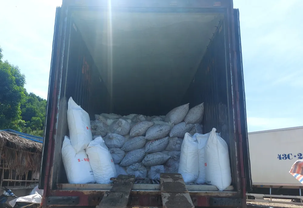 Sò lông được vận chuyển đi tiêu thụ Sò lông được vận chuyển đi tiêu thụ