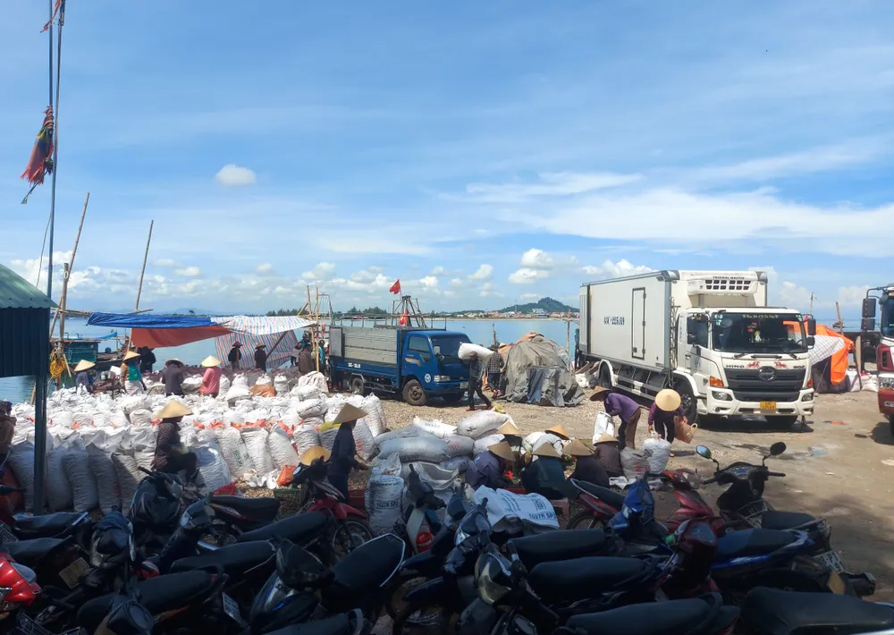 Hàng tấn sò lông được đưa vào bến ở xã Cẩm Lĩnh Hàng tấn sò lông được đưa vào bến ở xã Cẩm Lĩnh