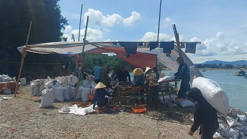 Vận chuyển sò lông từ tàu lên bờ Vận chuyển sò lông từ tàu lên bờ