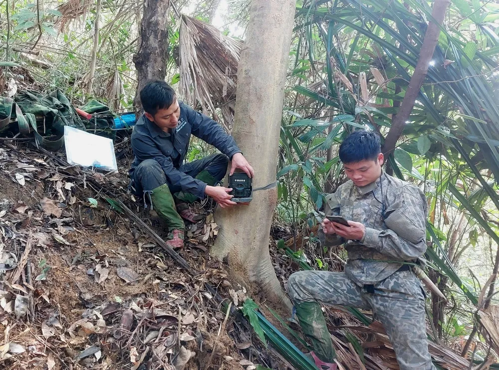 lap dat he thong bay anh giam sat da giang sinh hoc tai rung vuon quoc gia vu quang ha tinh.jpg