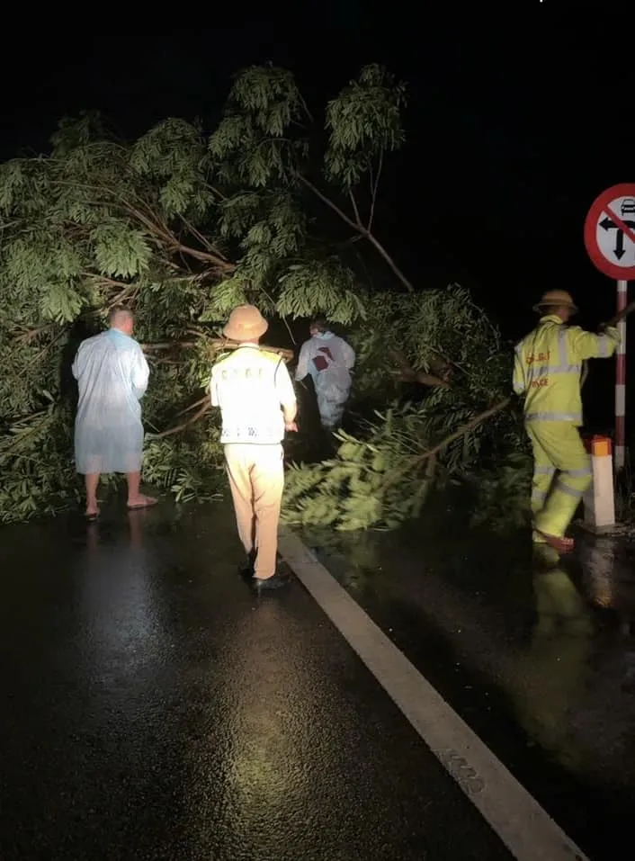 Lực lượng CSGT Công an Hà Tĩnh và cơ quan chức năng dọn dẹp cây đổ ngã, đảm bảo an toàn giao thông trên Quốc lộ 1A