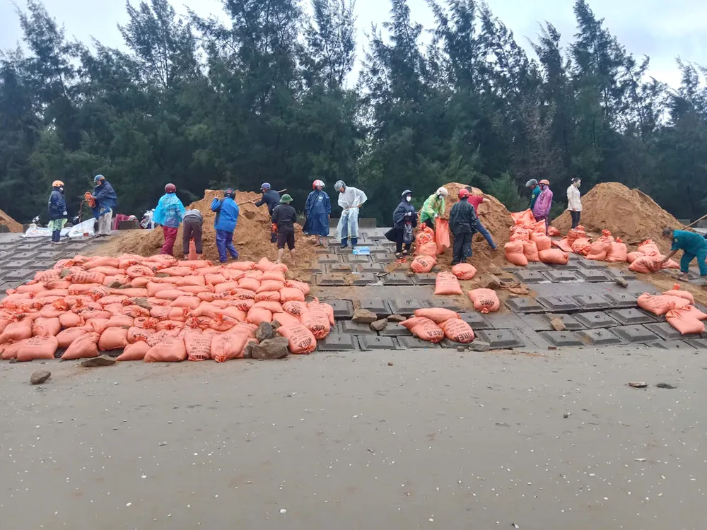 gia co ke bien ha tinh 1.jpg