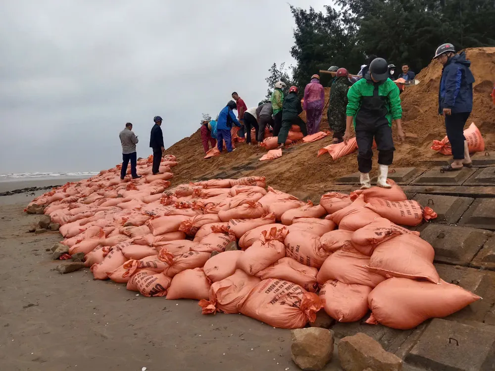 gia co ke bien ha tinh 3.jpg