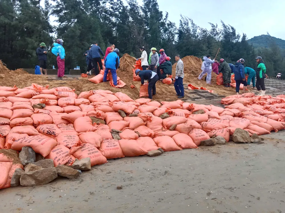 gia co ke bien ha tinh 4.jpg