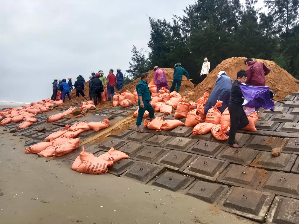 gia co ke bien ha tinh.jpg