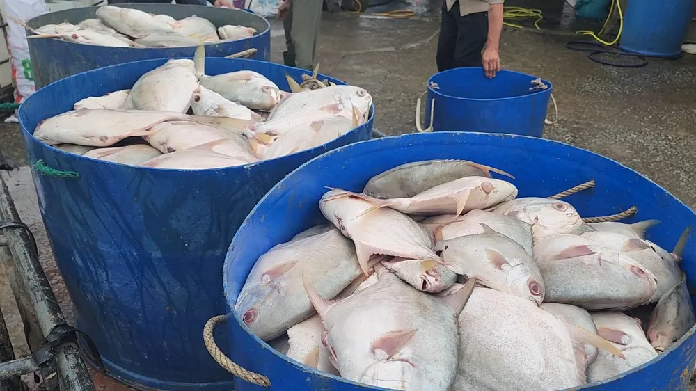 Không có tiêu đề.jpg