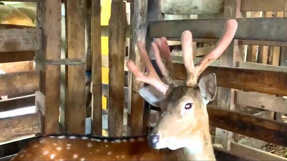 Không có tiêu đề.jpg