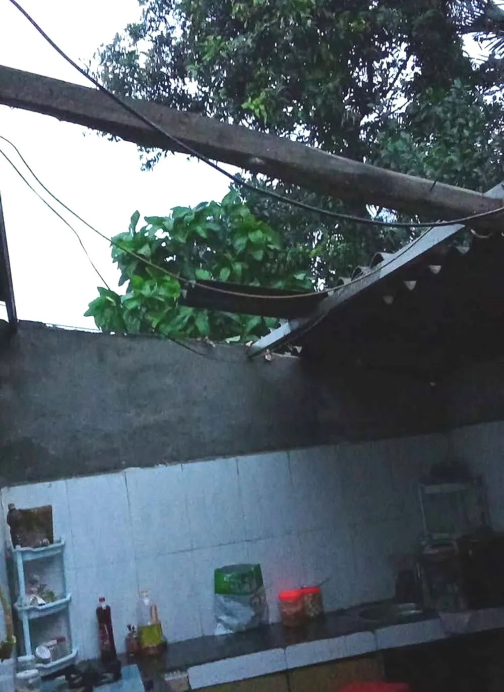 495209059_540761112425048_8795686697790824150_n (1).jpg