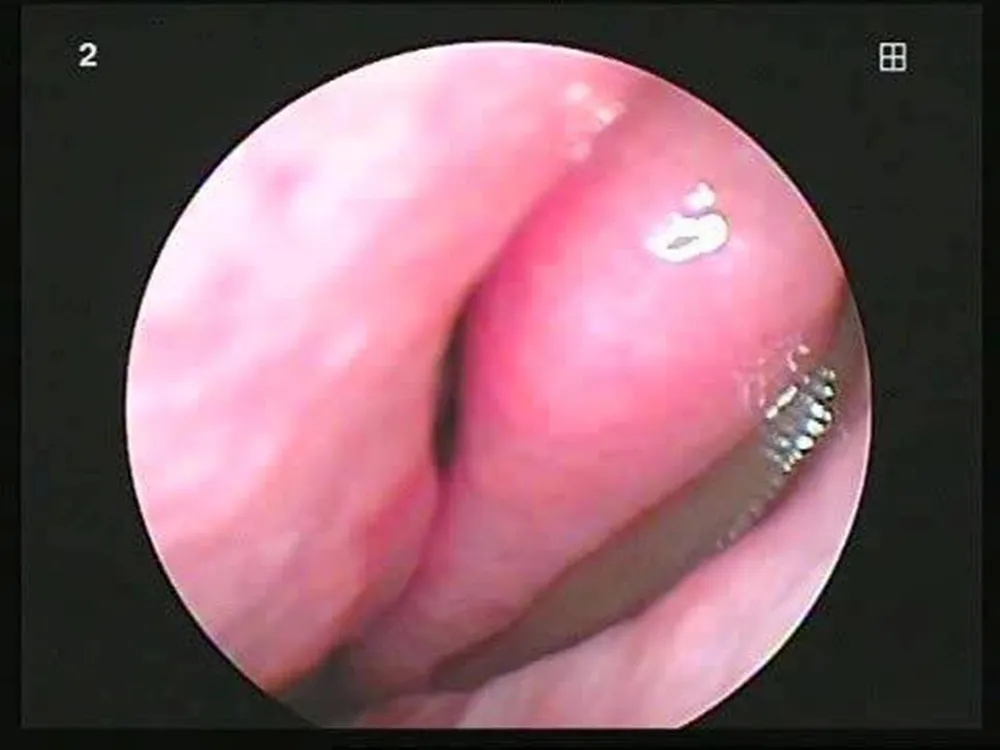 499827067_1188733449711311_7173676855960778501_n (1).jpg