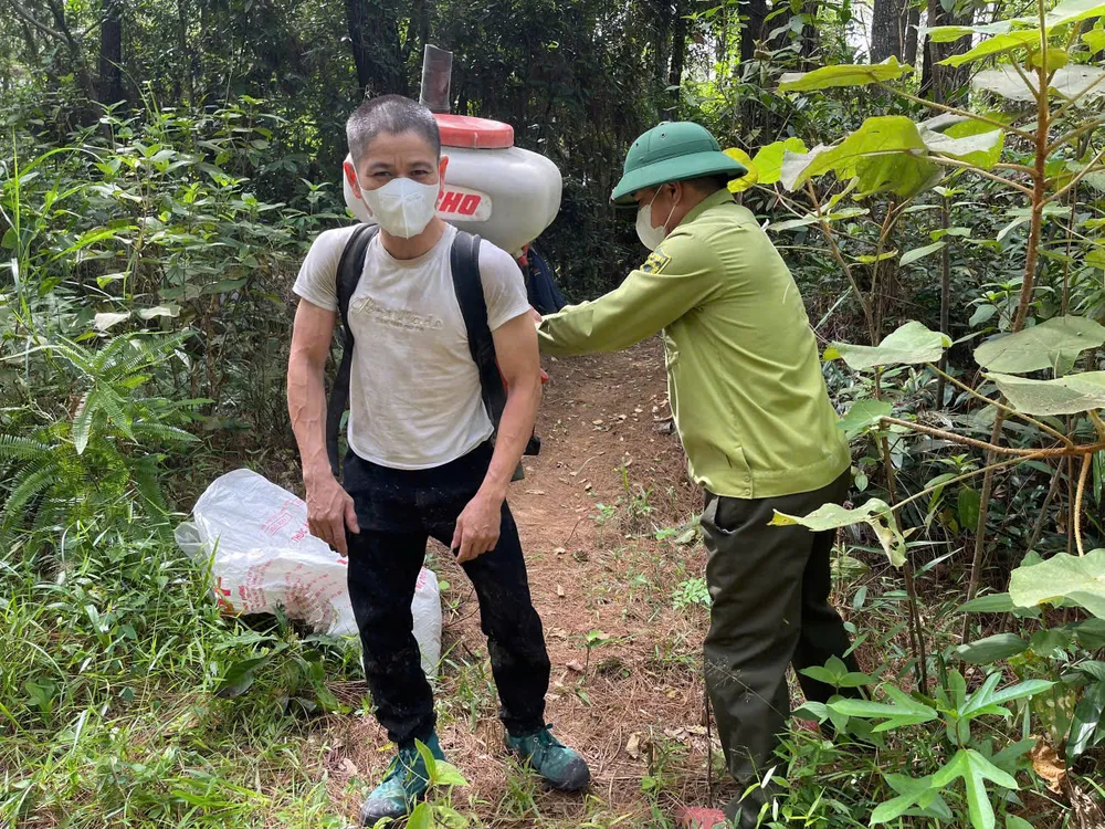 Huy động nhân lực, máy móc phun thuốc phòng trừ sâu róm gây hại rừng thông Hồng Lĩnh