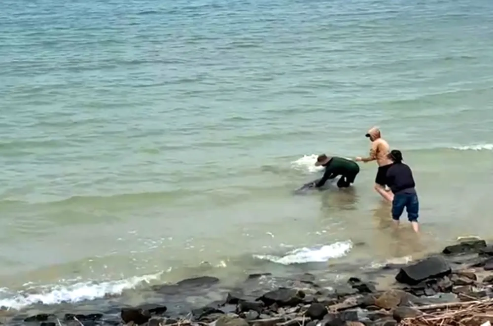 Không có tiêu đề.jpg