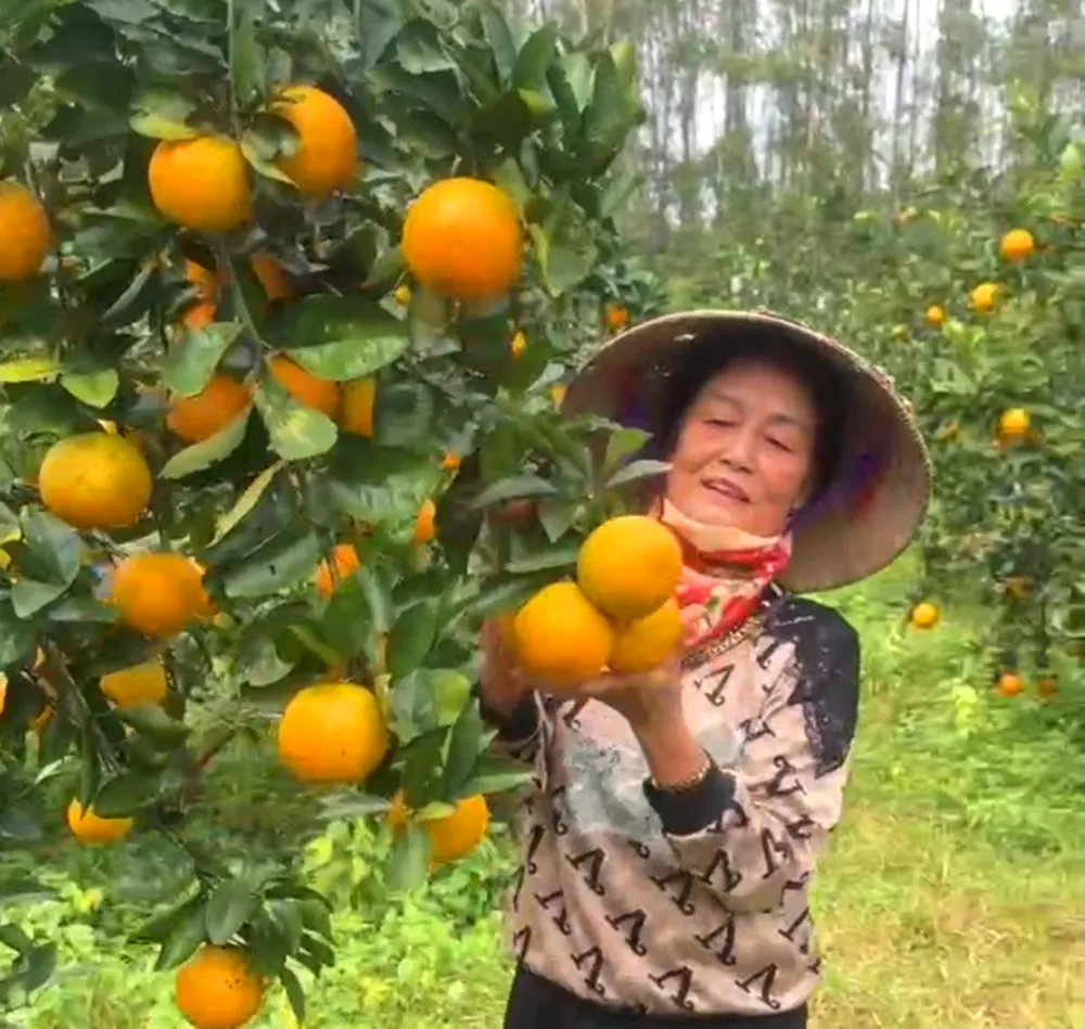 Không có tiêu đề.jpg