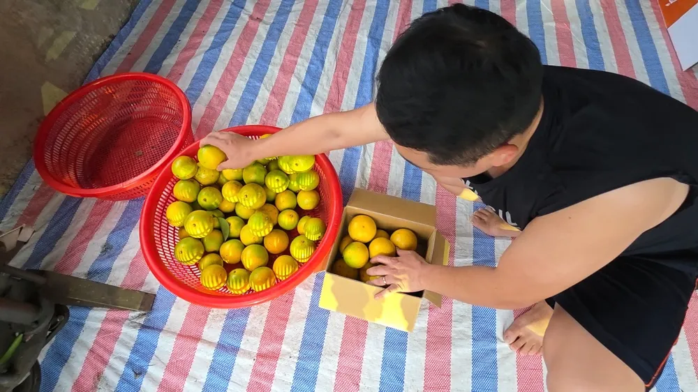 Không có tiêu đề.jpg