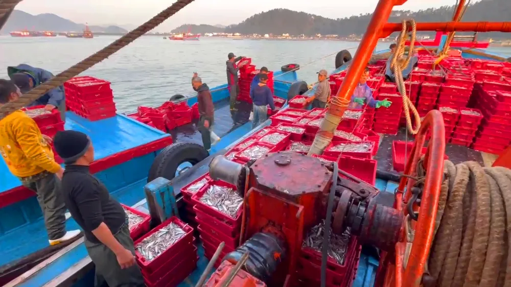 Không có tiêu đề.jpg