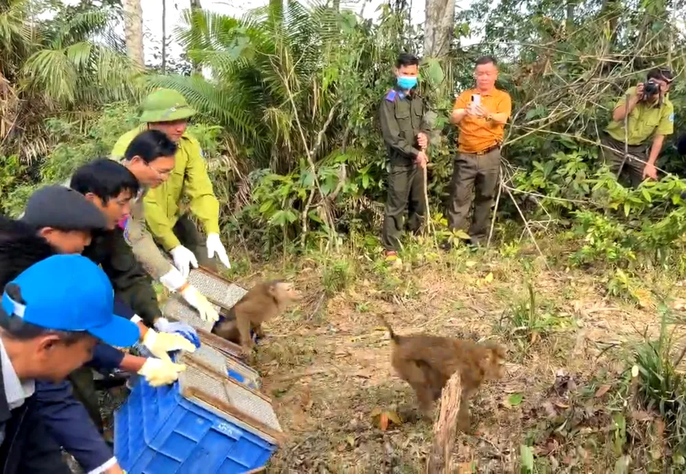 Không có tiêu đề.jpg