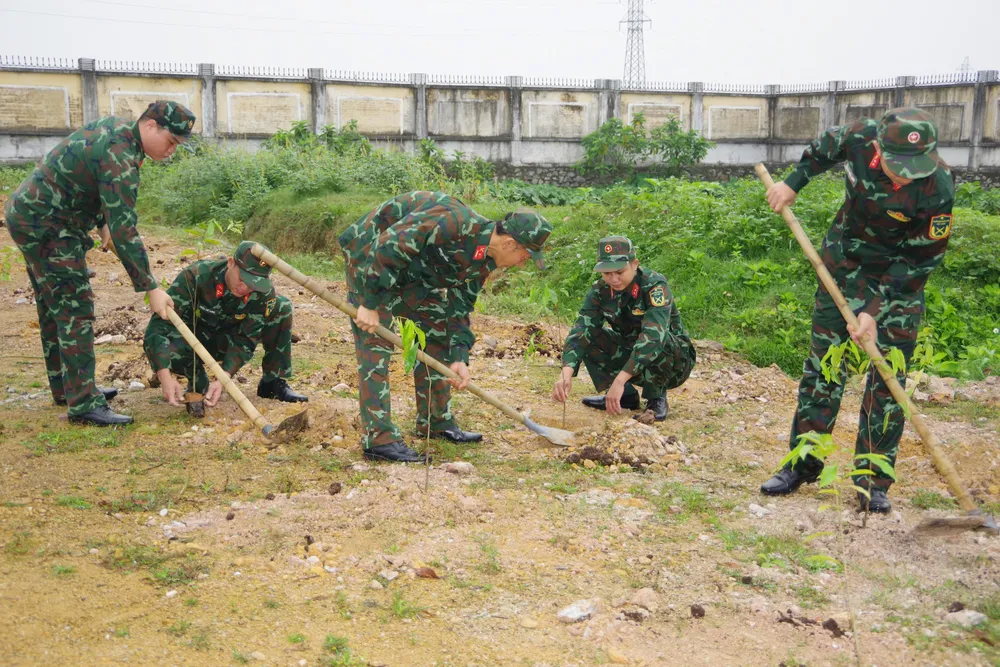 z7555557962011_0582a034edd2d0c7d0fd1a8e015eecaf (1).jpg