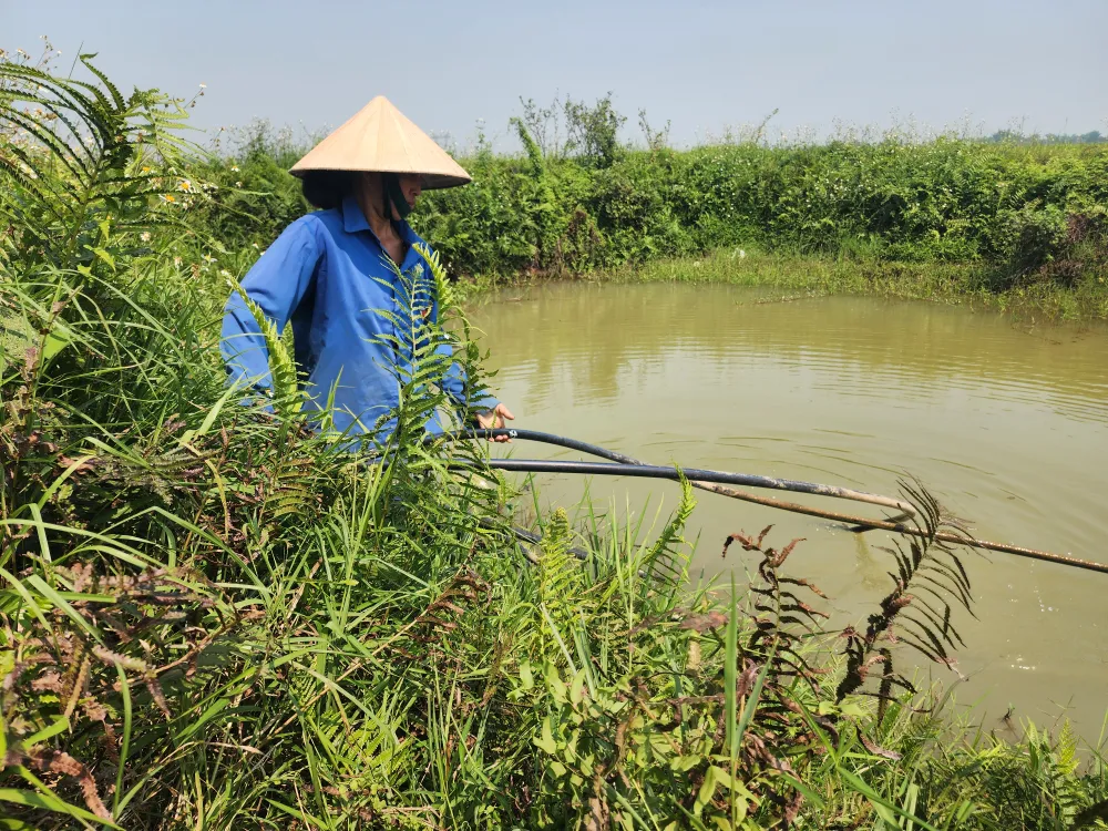 Chị Nguyễn Thị Thủy phải bơm nước hồ về sử dụng