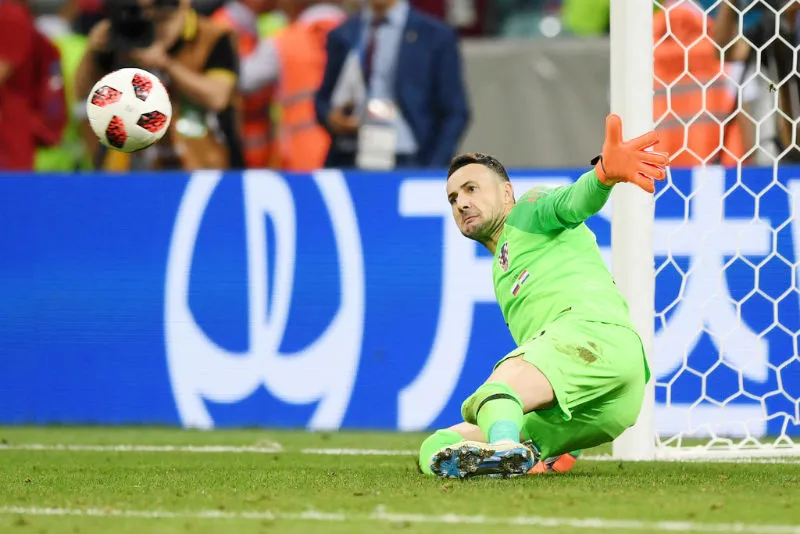 “Người nhện” Subasic nén đau quyết chiến tuyển Anh ảnh 1