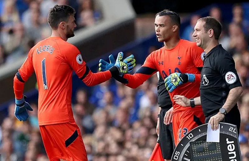 Michel Vorm (phải) trở lại một lần nữa để thay thế Hugo Lloris. Ảnh: Getty Images