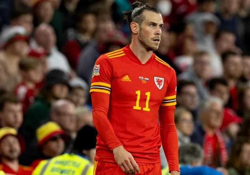 Hà Lan phá hỏng ngày vui của Xứ Wales ảnh 1