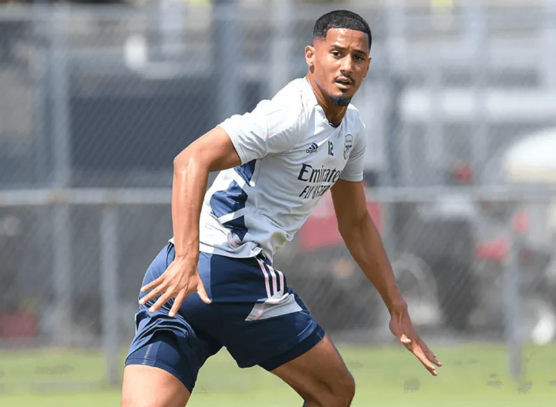 Arsenal sắp hoàn thành kế hoạch tuyển quân ảnh 1