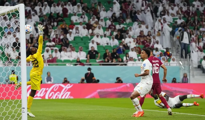 Bảng A: Senegal đẩy chủ nhà sát bờ vực bị loại ảnh 2