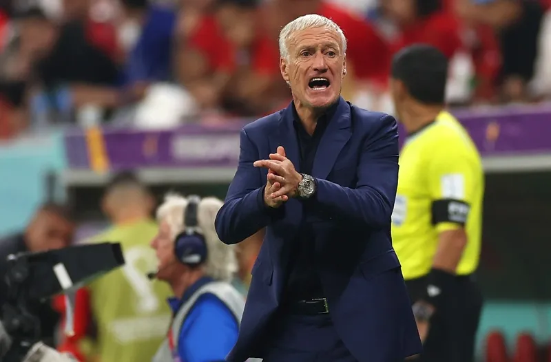 DNA chiến thắng của tuyển Pháp ảnh 1