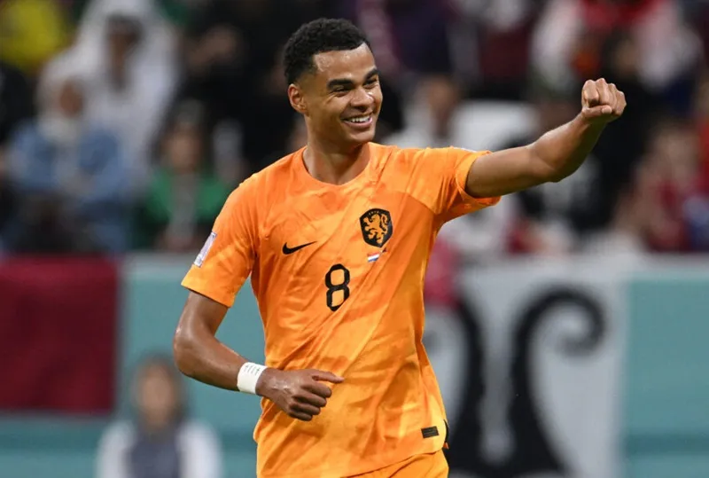 Cody Gakpo đã tỏa sáng tại World Cup 2022 cùng tuyển Hà Lan.
