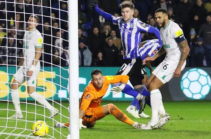 Mạch 15 trận bất bại của Newcastle đã bị chặn đứng tại Sheffield Wednesday.