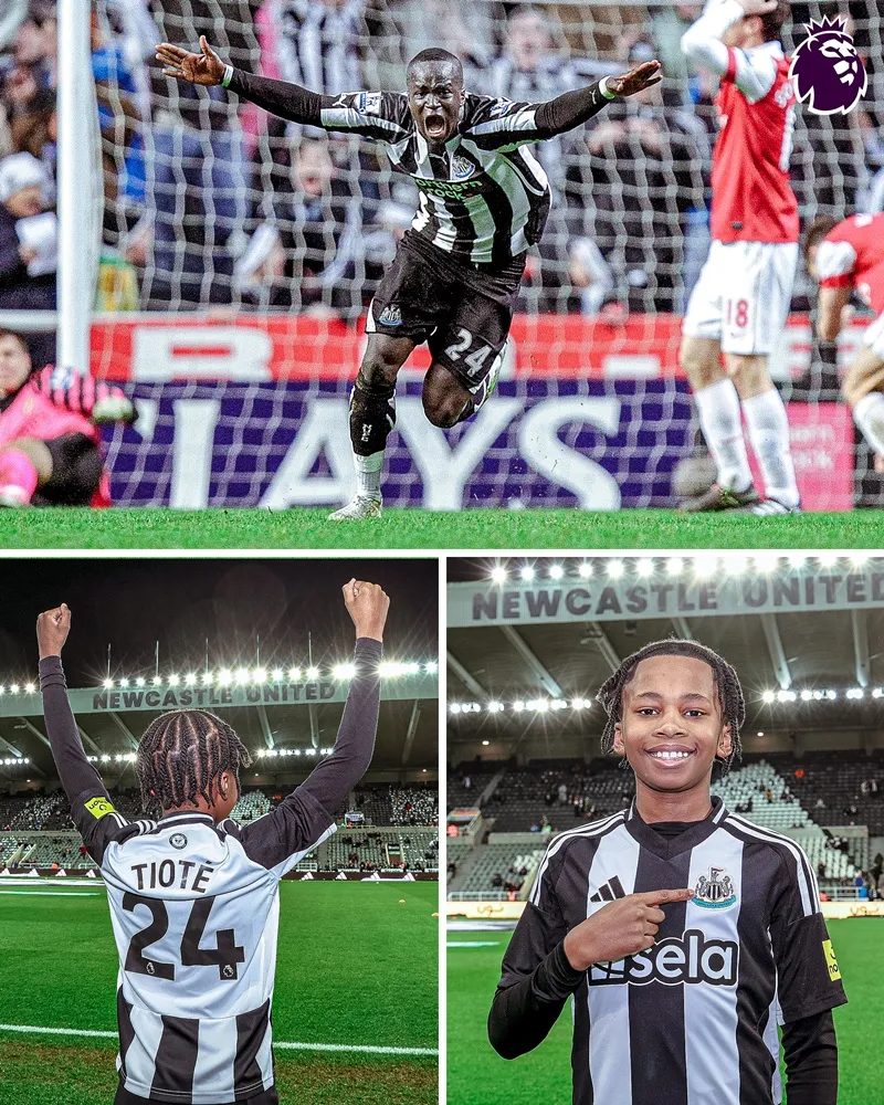 Cheick Tiote.jpg