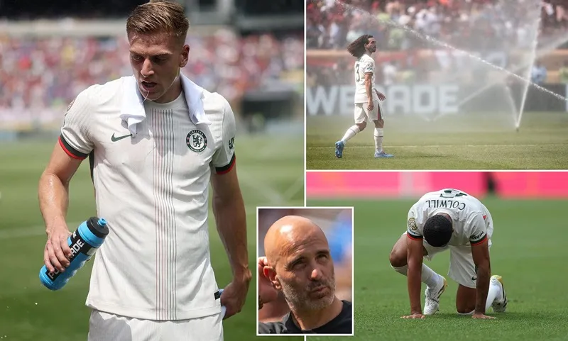 Chelsea1.jpg