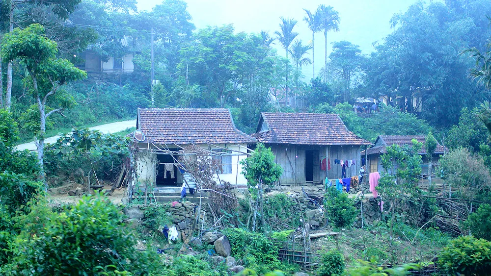 Cà Đam mơ ước thoát nghèo ảnh 1