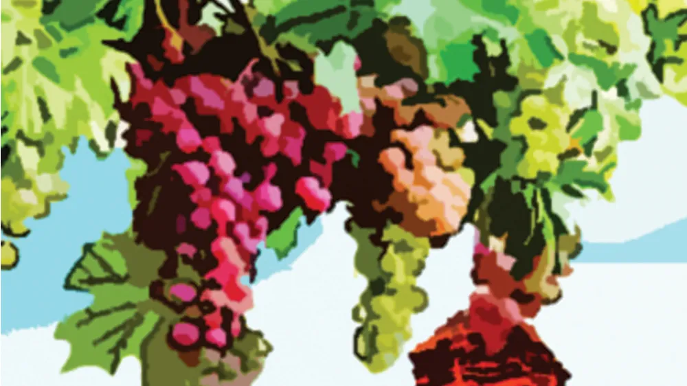 Minh họa: THIÊN LỘC