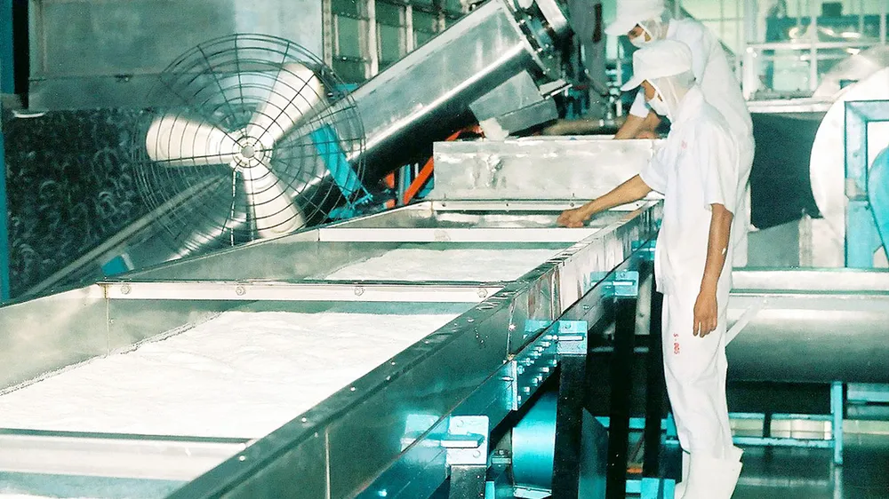 Sản xuất cơm dừa nạo sấy tại Công ty Xuất nhập khẩu Bến Tre Ảnh:  HOÀNG HÀ