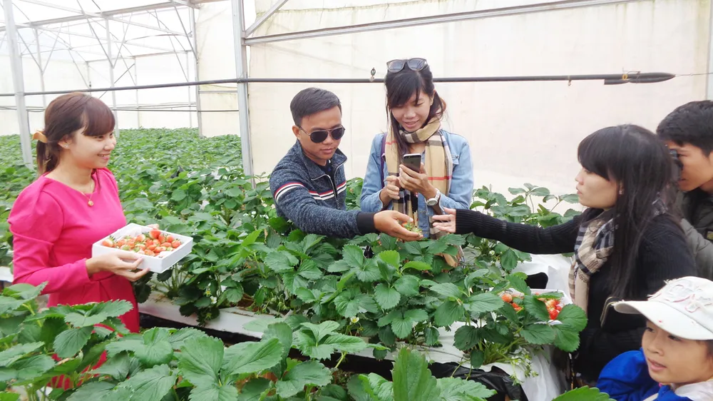 “Cò” đặc sản tung hoành ảnh 1