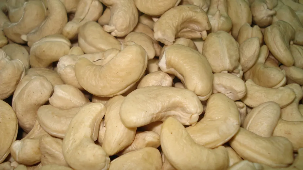 Việt Nam giữ vị trí hàng đầu thế giới về xuất khẩu điều nhân