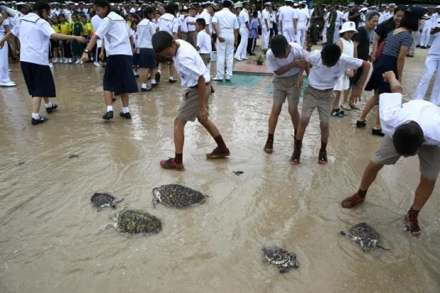 Thả 1.066 con rùa mừng sinh nhật thứ 65 nhà vua Thái Lan ảnh 2