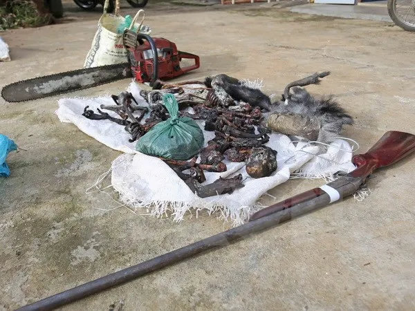 Ảnh minh họa: TTXVN