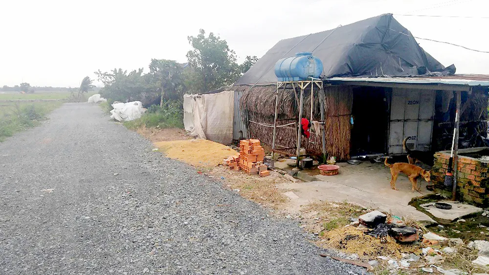 Tại khu đất thuộc tờ bản đồ số 56 (tổ 84A, ấp Tân Lập,  xã Tân Thới Nhì, Hóc Môn), chủ đất đã san lấp kênh mương,  mở đường vào khu phân lô trái phép