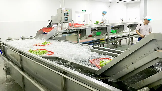 Hệ thống máy rửa rau theo công nghệ nước ngoài  của nông dân TPHCM