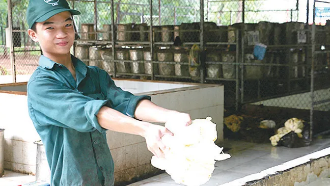 Khám phá Lộc Ninh ảnh 6