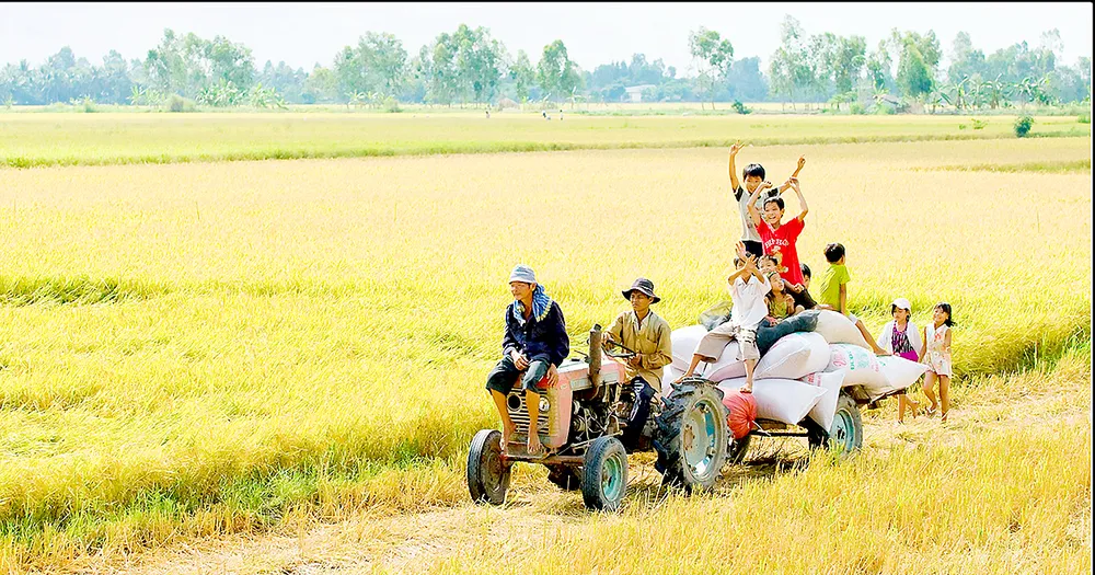 Xây dựng ĐBSCL phát triển bền vững, thịnh vượng là mục tiêu lớn của cả nước đến năm 2050           Ảnh: VINH HIỂN